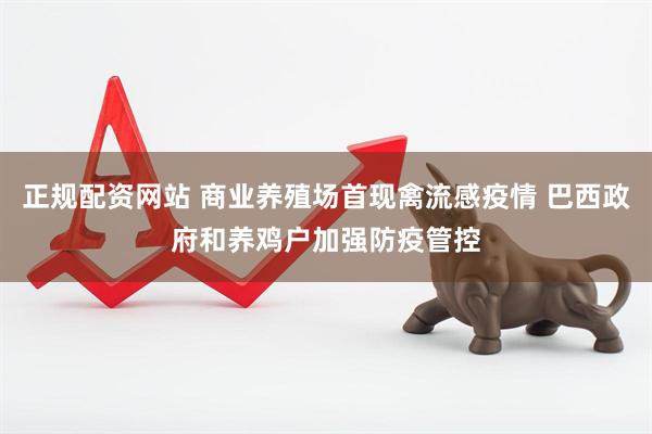 正规配资网站 商业养殖场首现禽流感疫情 巴西政府和养鸡户加强防疫管控