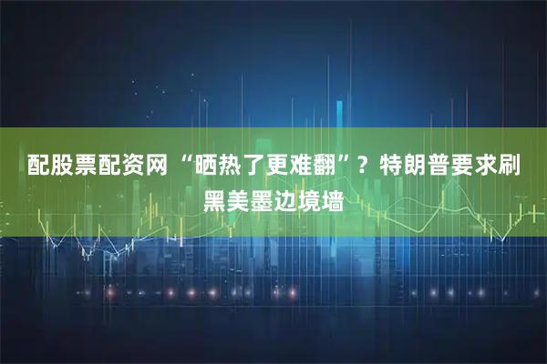配股票配资网 “晒热了更难翻”？特朗普要求刷黑美墨边境墙