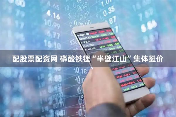 配股票配资网 磷酸铁锂“半壁江山”集体挺价